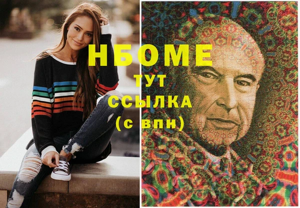 сатива Няндома