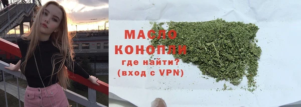 сатива Няндома