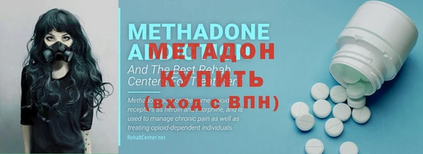 сатива Няндома
