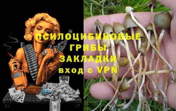 сатива Няндома