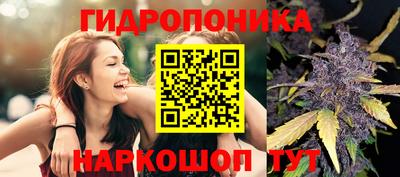 стафф Аргун